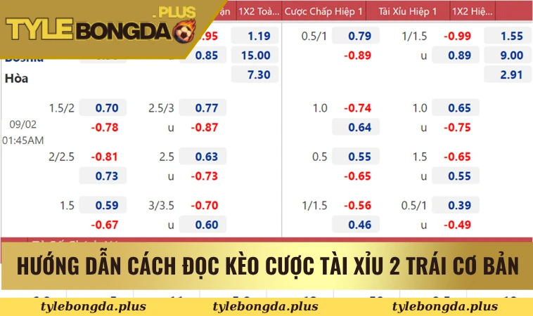 Hướng dẫn cách đọc kèo cược tài xỉu 2 trái cơ bản