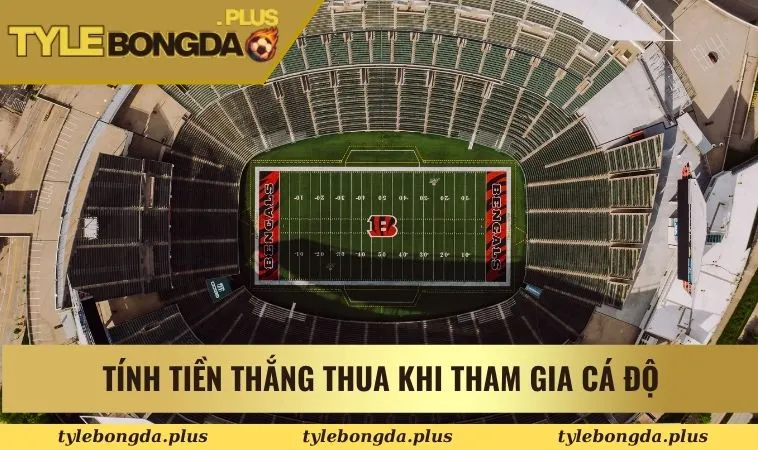 Hướng dẫn tính tiền khi tham gia cá độ