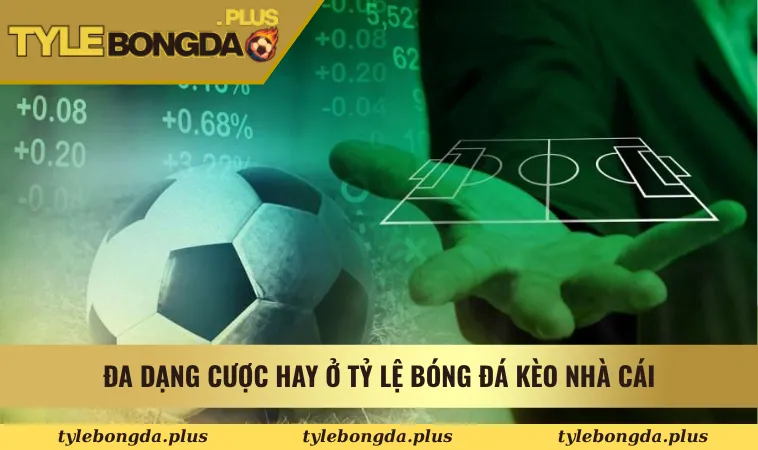 Đa dạng cược hay ở Tỷ Lệ Bóng Đá Kèo Nhà Cái