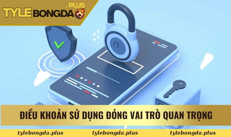 Điều khoản sử dụng đóng vai trò quan trọng tại trang 