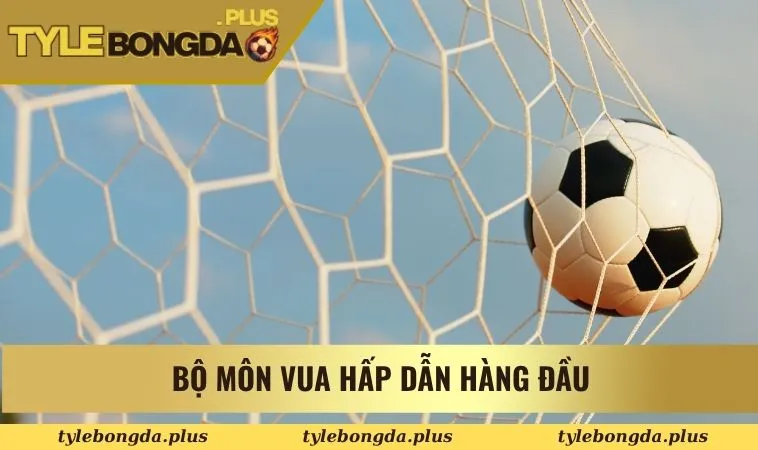 Bộ môn vua hấp dẫn hàng đầu