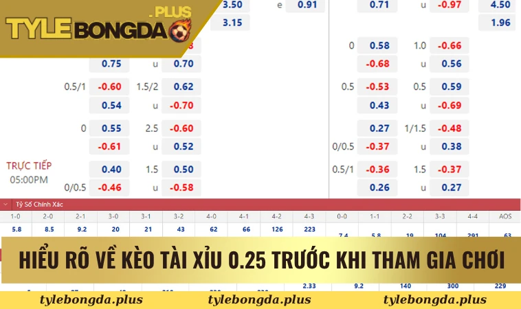 Hiểu rõ về kèo tài xỉu 0.25 trước khi tham gia chơi