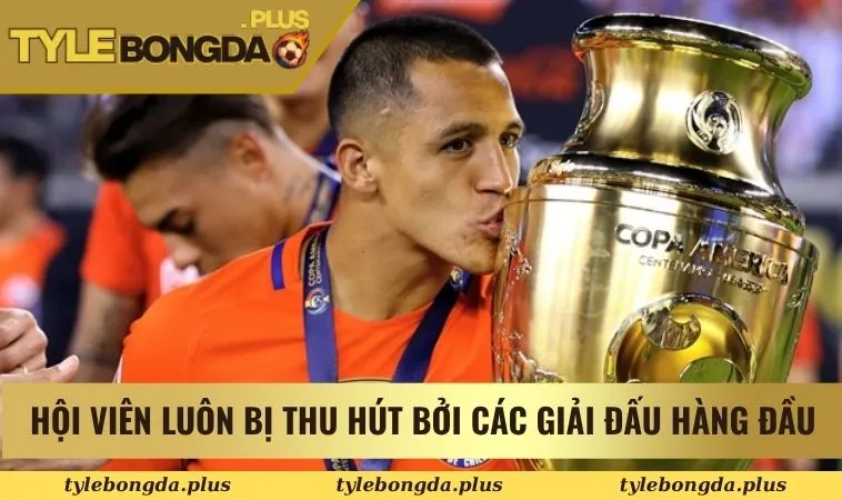 Hội viên luôn bị thu hút bởi các giải đấu hàng đầu