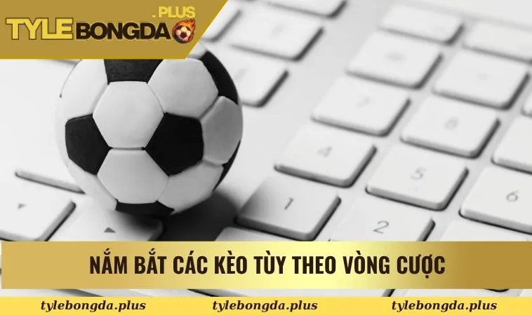 Nắm bắt các kèo tùy theo vòng cược