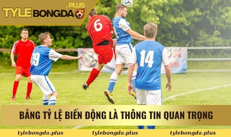 Bảng tỷ lệ biến động là thông tin quan trọng