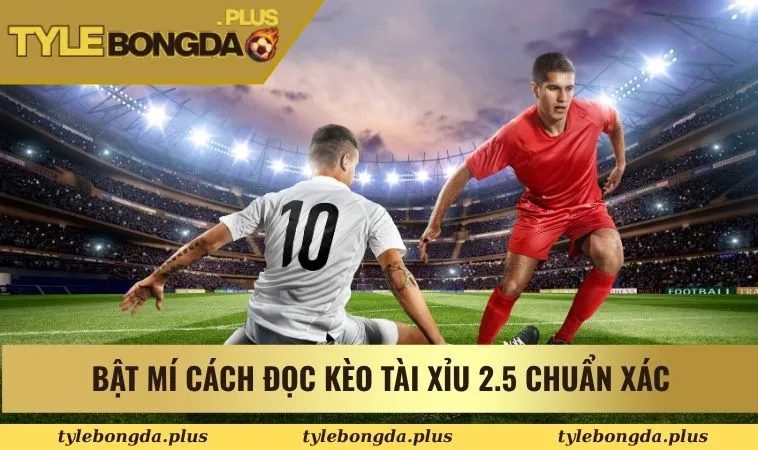 Bật mí cách đọc kèo tài xỉu 2.5 chuẩn xác