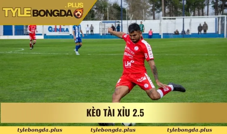 Kèo tài xỉu 2.5