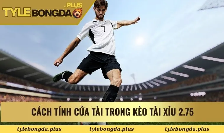 Cách tính cửa Tài trong kèo tài xỉu 2.75