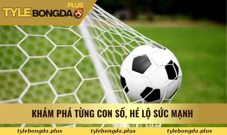 Khám phá từng con số, hé lộ sức mạnh 