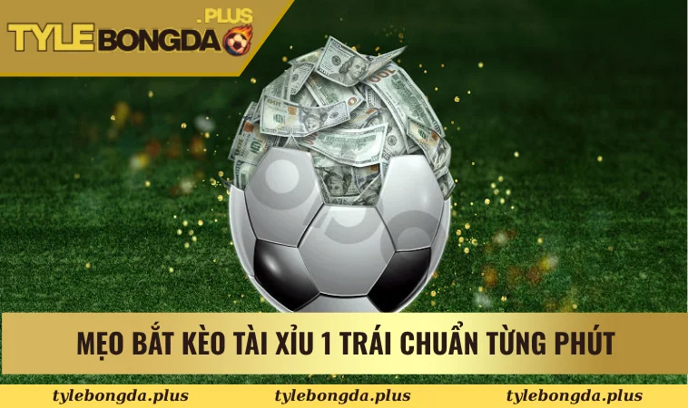 Tài xỉu 1 trái