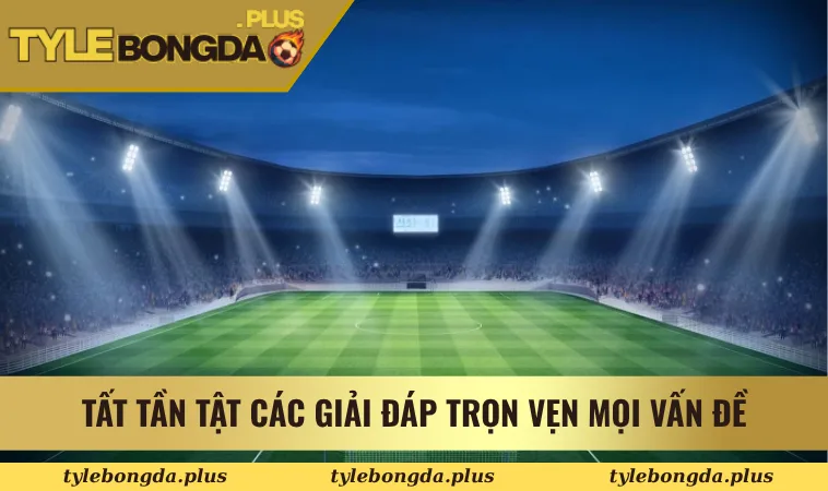 Tất tần tật các giải đáp trọn vẹn mọi vấn đề 
