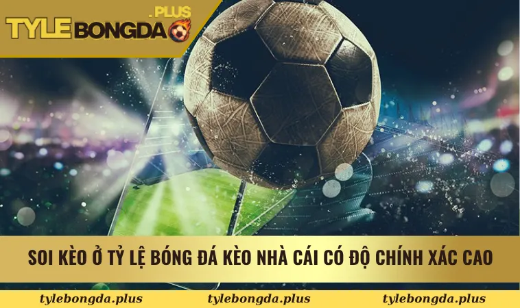 Thông tin soi kèo ở Tỷ Lệ Bóng Đá Kèo Nhà Cái có độ chính xác cao