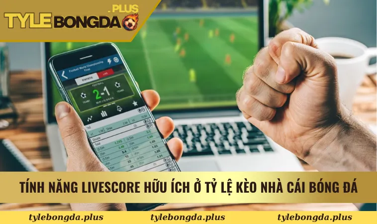 Tính năng Livescore hữu ích ở Tỷ Lệ Kèo Nhà Cái Bóng Đá
