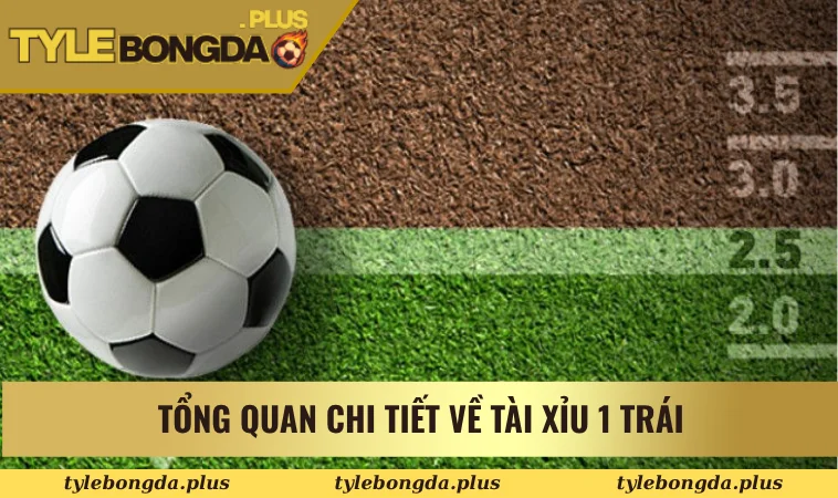 Tổng quan chi tiết về tài xỉu 1 trái