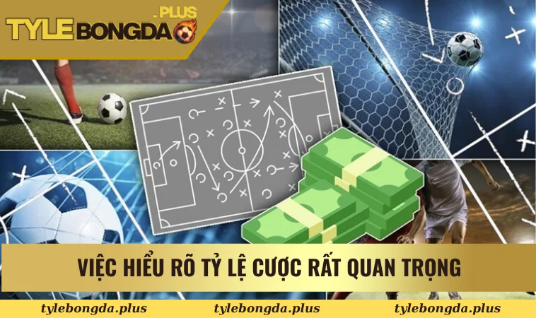 Việc hiểu rõ tỷ lệ cược rất quan trọng